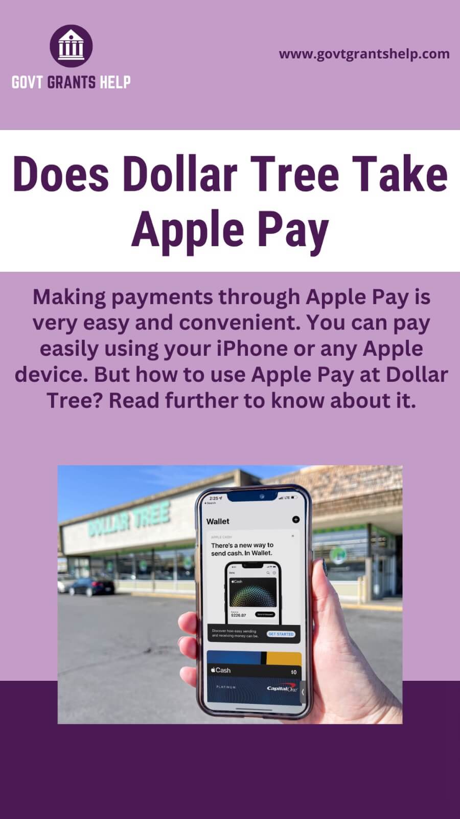 Does Dollar Tree Take Apple Pay? Govt Grants Help